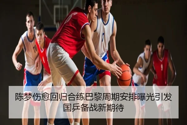 陈梦伤愈回归合练巴黎周期安排曝光引发国乒备战新期待